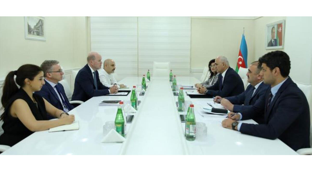 Azərbaycan BP ilə alternativ enerji sahəsində əməkdaşlıq edə bilər