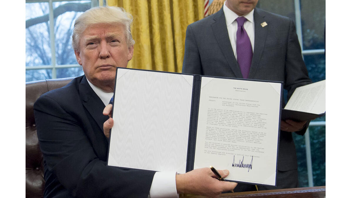 Donald Tramp nəhayət vergi deklarasiyasını dərc edəcəyini bildirib