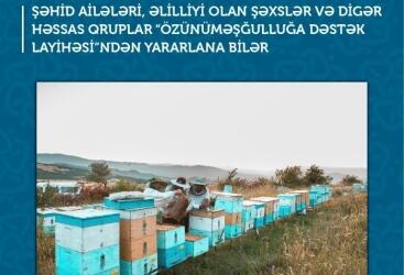 Şəhid ailələri, əlilliyi olan şəxslər və digər həssas qruplar “Özünüməşğulluğa Dəstək Layihəsi”ndən də yararlana biləcəklər