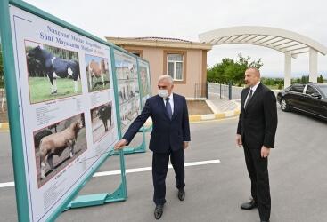 Naxçıvanda Süni Mayalanma Mərkəzi istifadəyə verilib