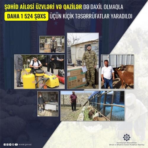 Şəhid ailəsi üzvləri və qazilər də daxil olmaqla daha 1524 şəxs üçün kiçik təsərrüfat yaradılıb