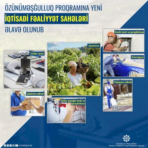 Özünüməşğulluq proqramına yeni iqtisadi fəaliyyət sahələri əlavə olunub