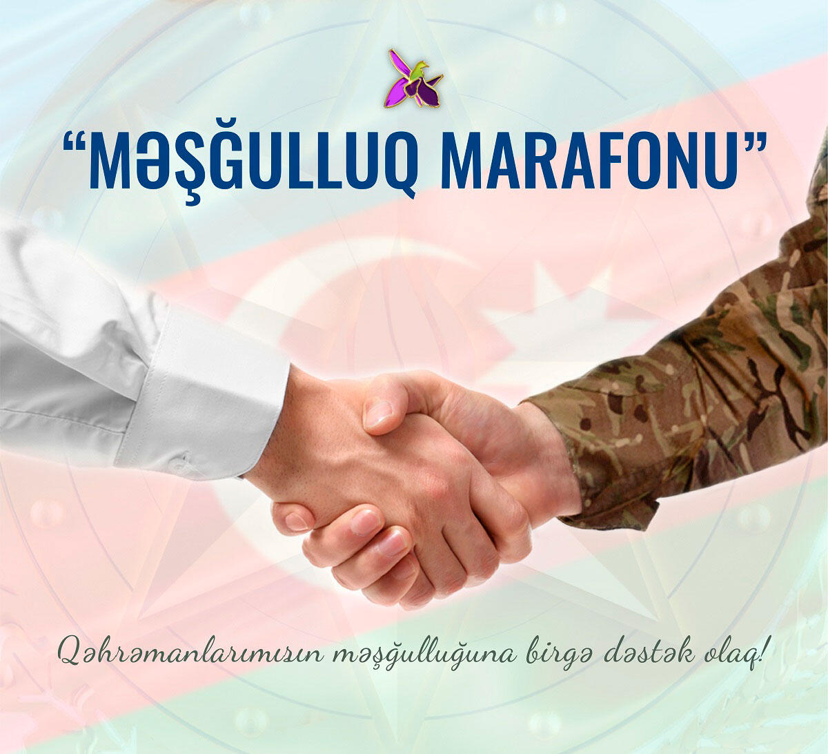 “Məşğulluq marafonu” çərçivəsində 28 sahibkarlıq subyekti 60 nəfəri işlə təmin edib