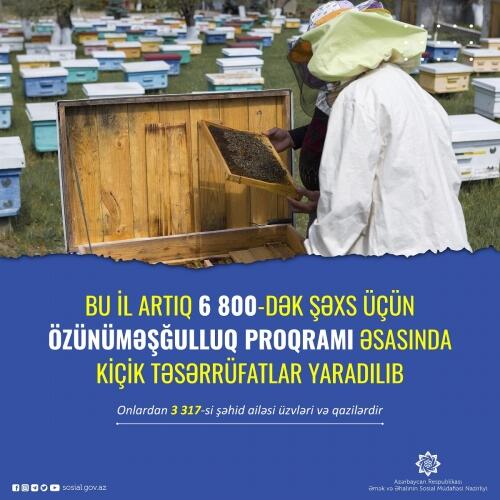 Bu il 6800-dək şəxs üçün özünüməşğulluq proqramı əsasında kiçik təsərrüfatlar yaradılıb