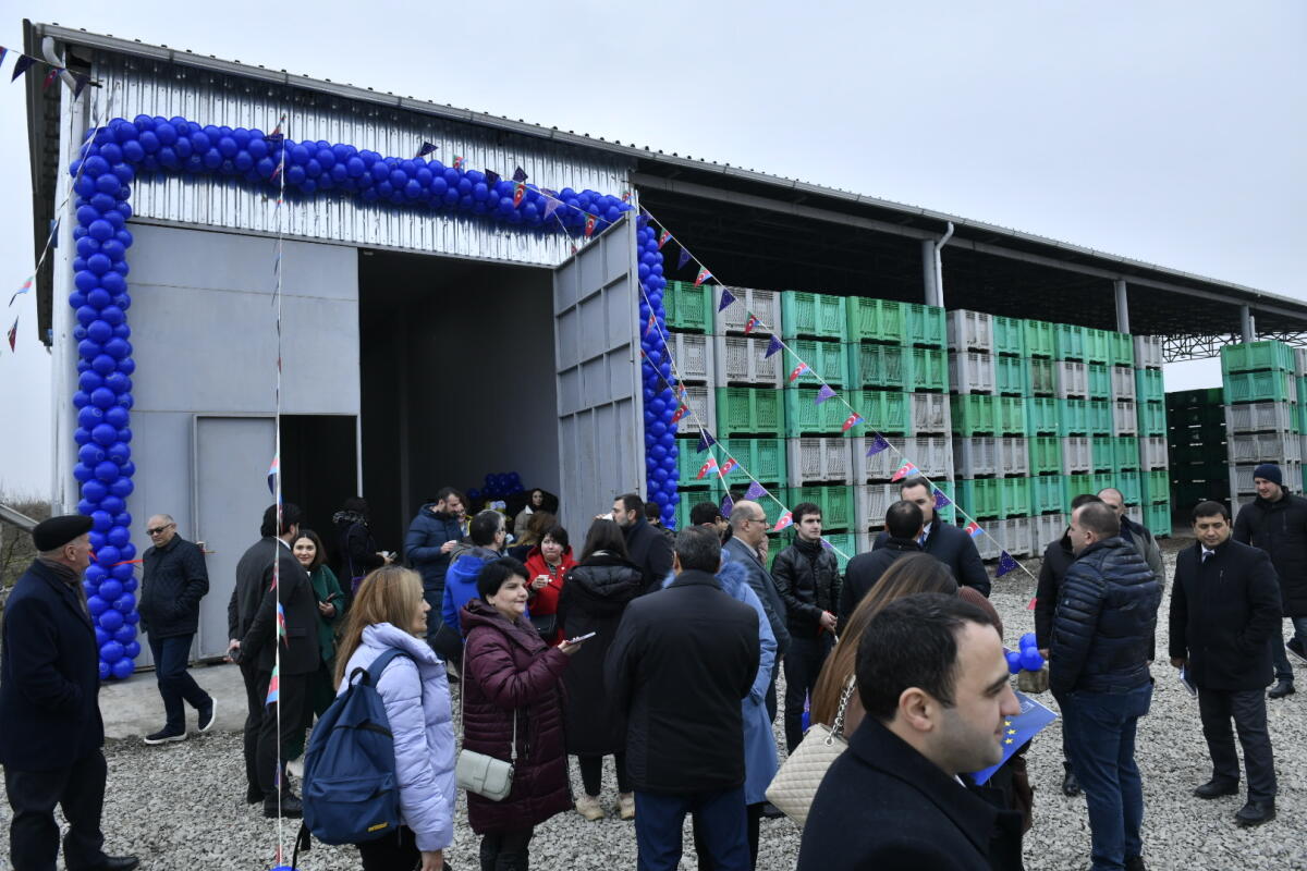 “Nar vadisi”: aqro-turizmin yeni ünvanı