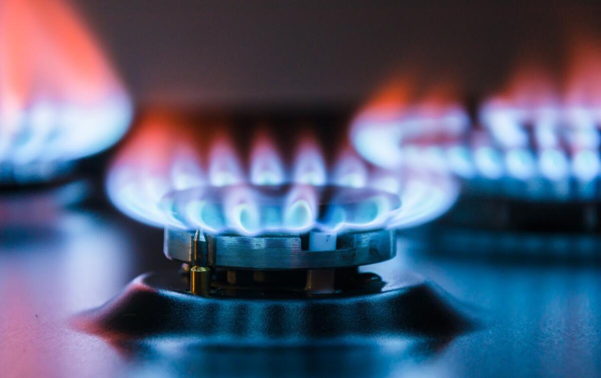 SOCAR Bolqarıstanda sənaye müştərilərinə təbii qaz tədarükünə başlayıb