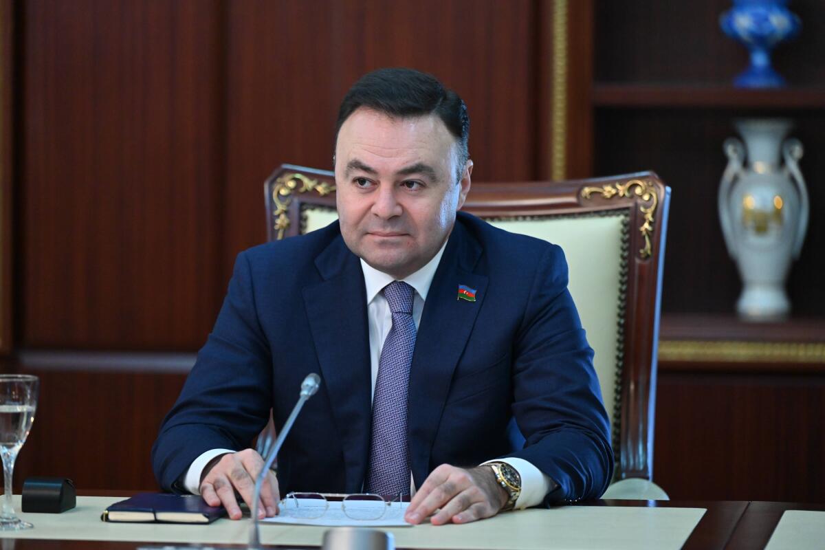 Elnur Allahverdiyev: “Avropanın enerji təhlükəsizliyinə Azərbaycanın təsiri getdikcə artacaq”