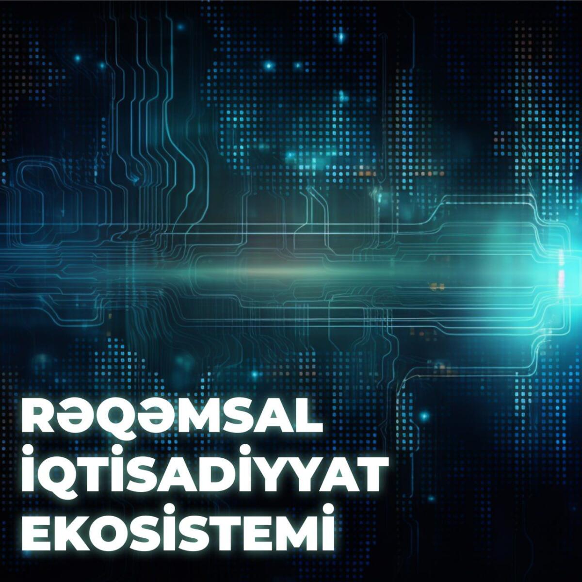 Rəqəmsal iqtisadiyyat ekosistemi
