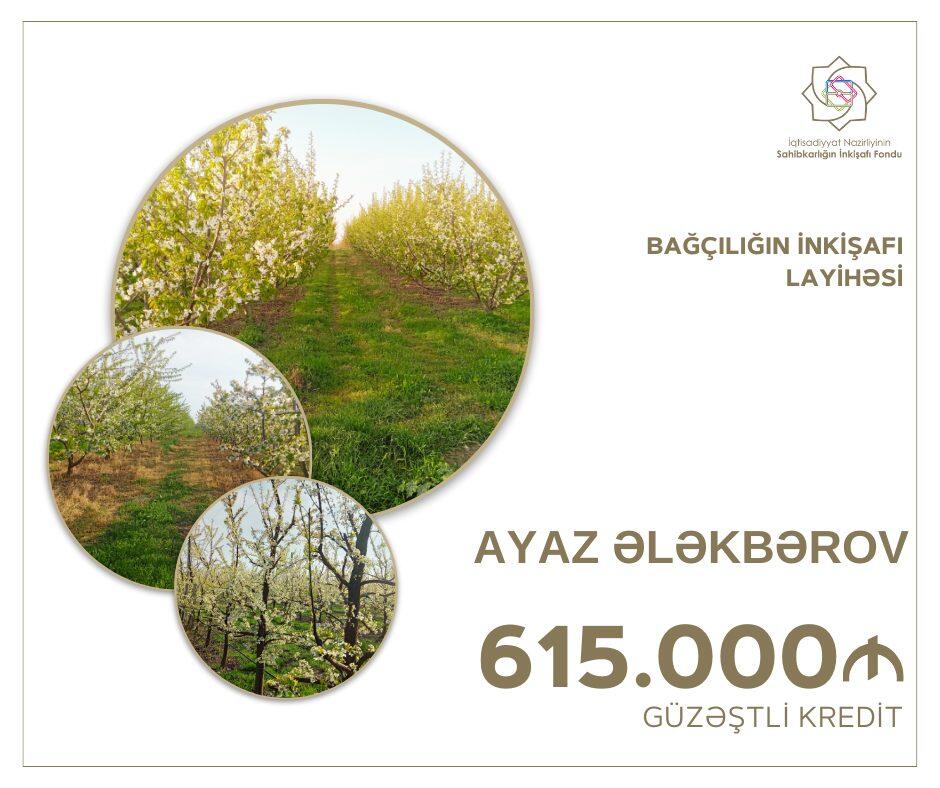 Bağçılığın inkişafı layihəsinə 615 min manat vəsait ayrılıb