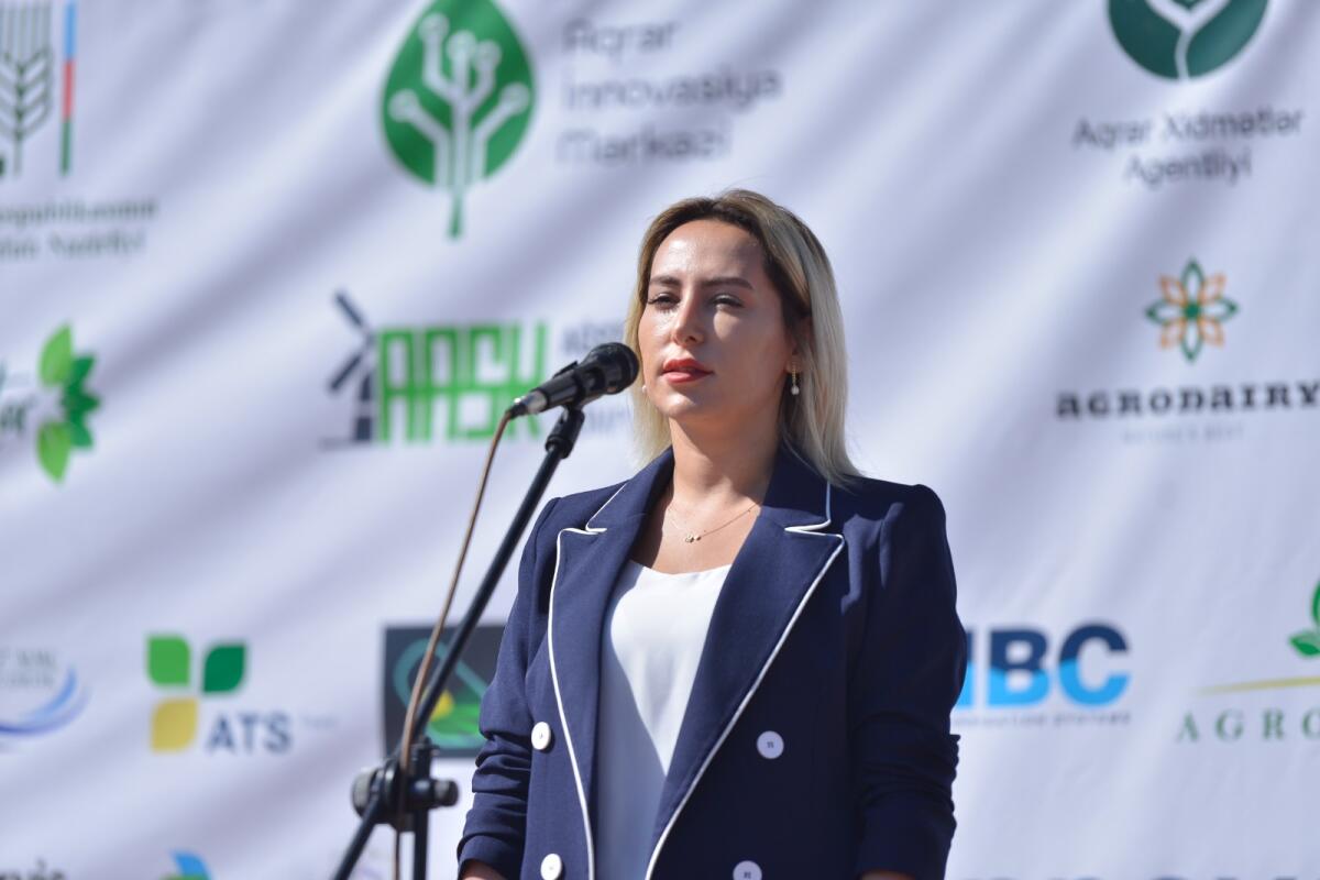 Mədinə Əliyeva: “Toxum istehsalı ilə məşğul olan fermerlərə dövlət tərəfindən dəstək göstərilir”