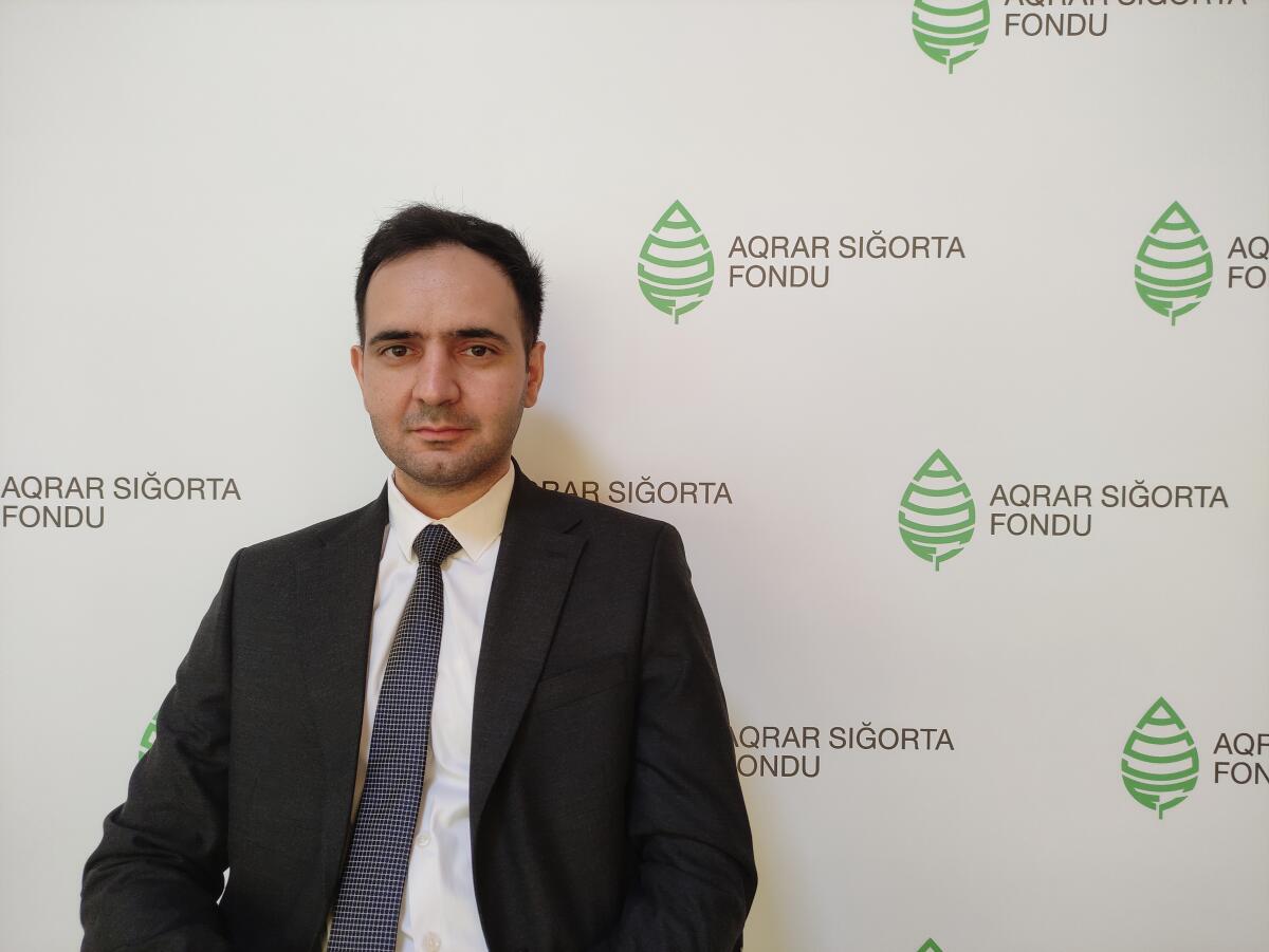 Sübhan Şirinov: "Sığorta hadisəsi haqda məlumatın verilməməsi fermeri qanuni ödənişlərdən məhrum edir"