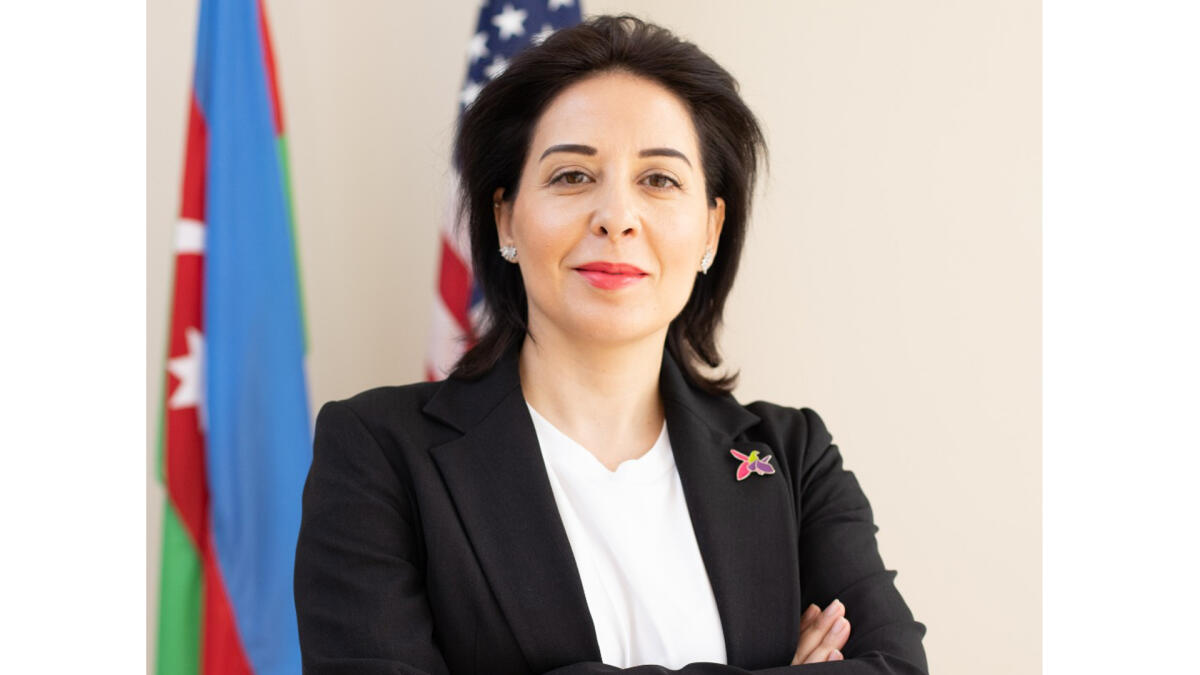 Gülnarə Aslanbəyli: “Azad olunmuş ərazilərdə tətbiq olunan güzəştlər xarici investisiyaların cəlbinə yardım edəcək”