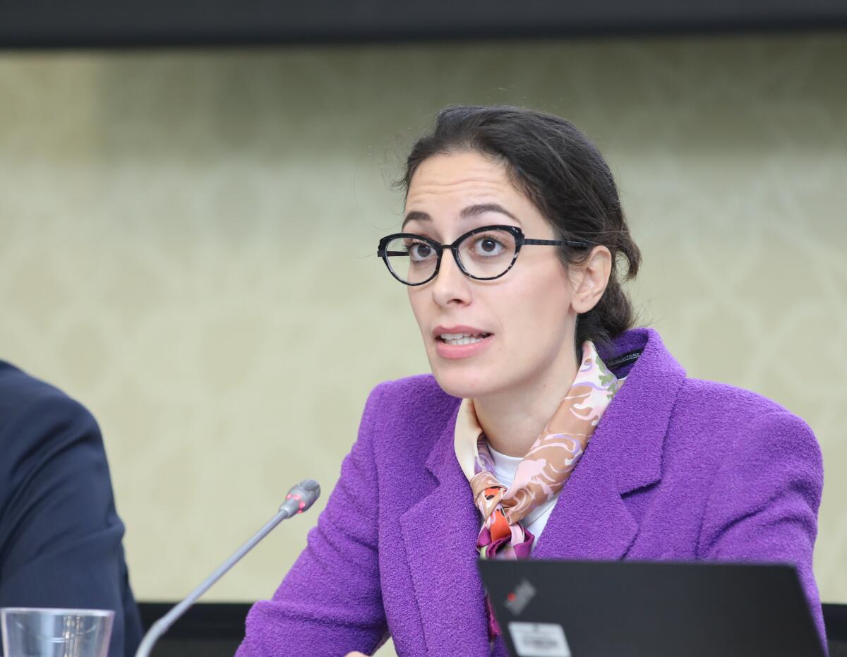 İva Brkiç: “Azərbaycan bərpa olunan enerji sahəsində böyük potensiala sahibdir”