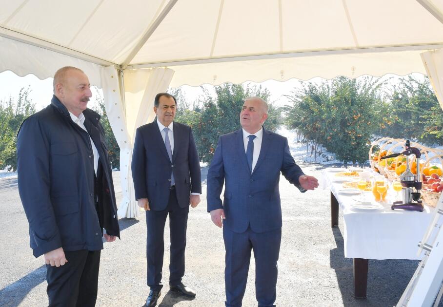 Prezident İlham Əliyev Lənkəran rayonuna səfər edib