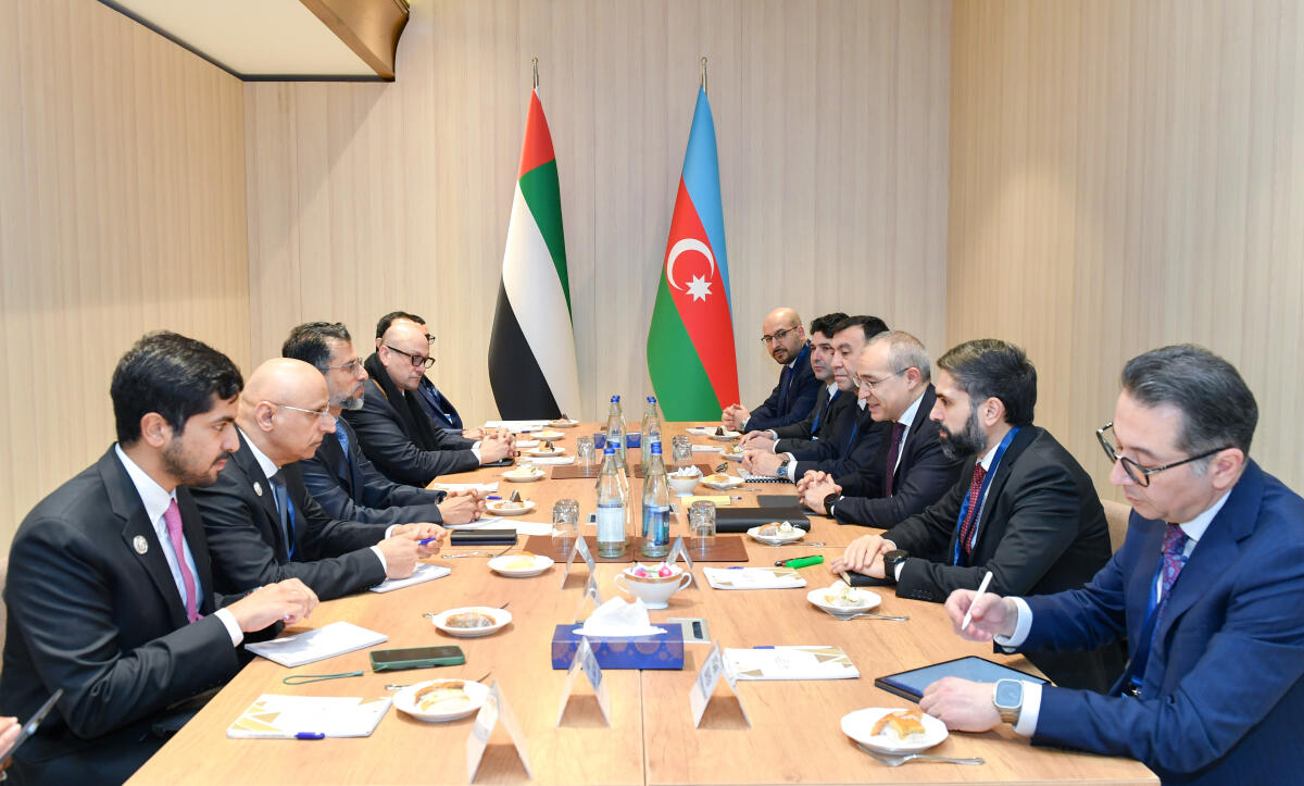 COP29 çərçivəsində Birləşmiş Ərəb Əmirlikləri ilə əməkdaşlıq istiqamətləri müzakirə olunub