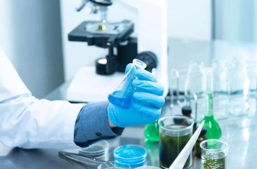 Azərbaycanda tullantılardan alternativ protein və yağ hazırlanıb