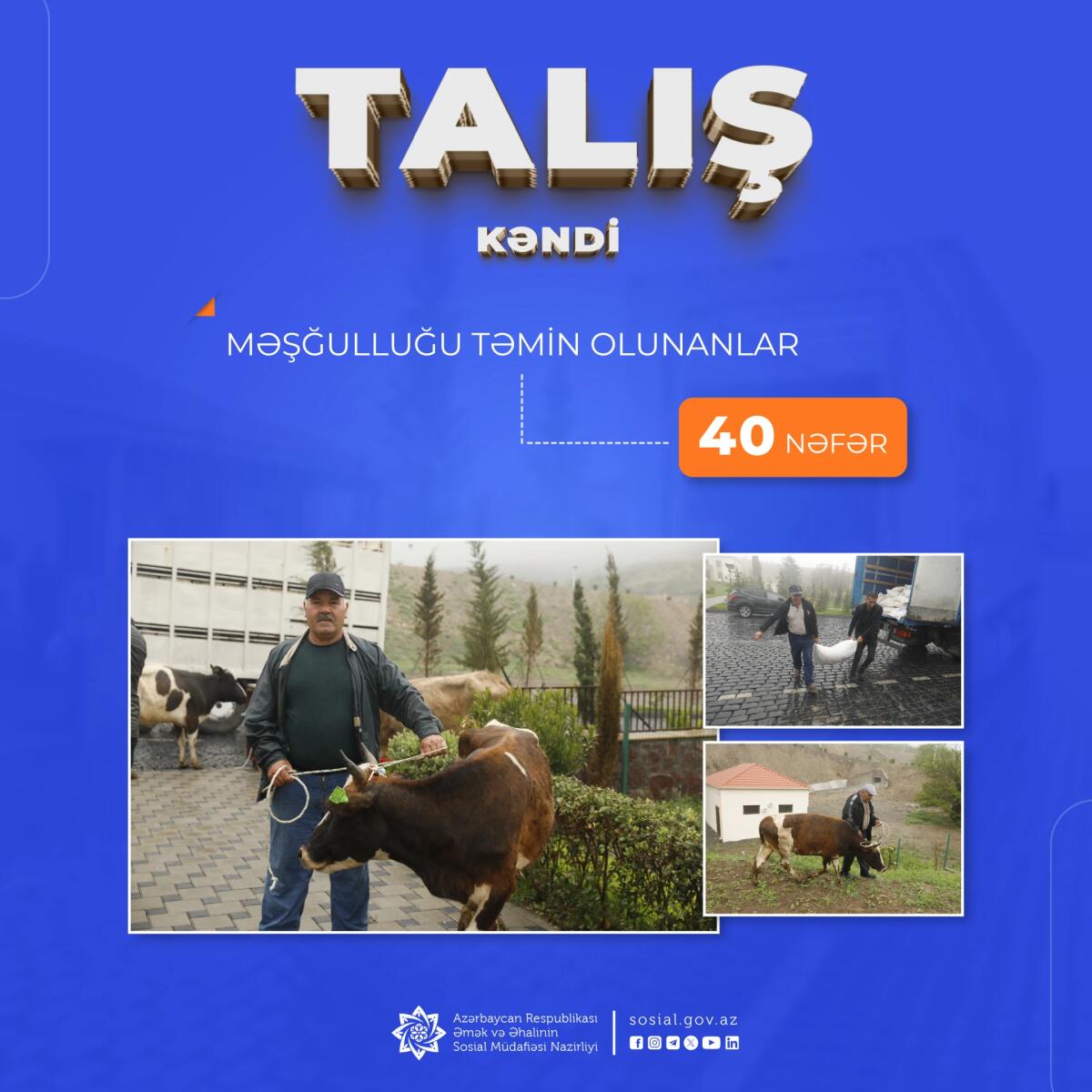 Talış kəndinə köçürülən sakinlərin məşğulluğu təmin olunur