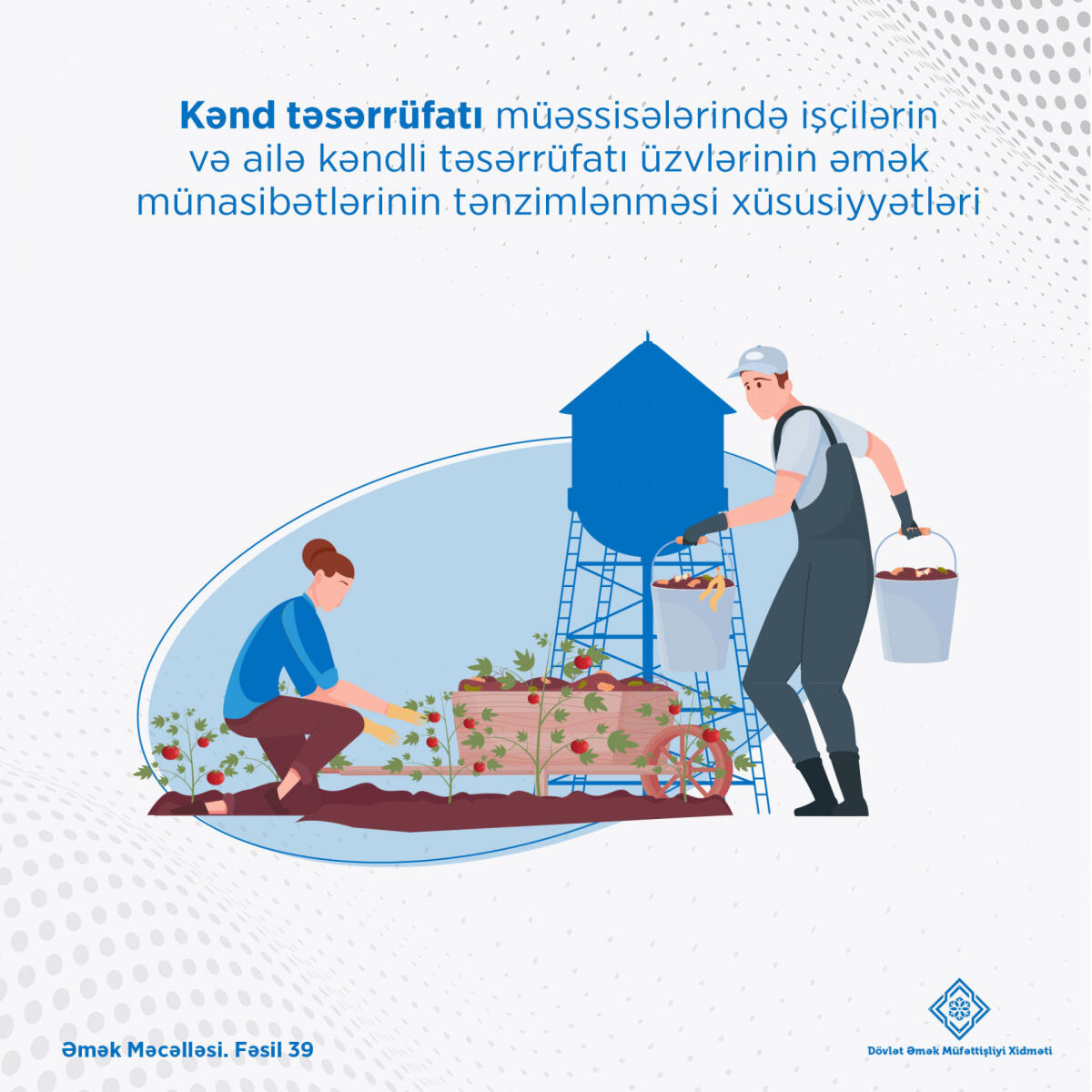 Kənd təsərrüfatı müəssisələrində iş vaxtının və əməyin ödənilməsinin tənzimlənməsi xüsusiyyətləri