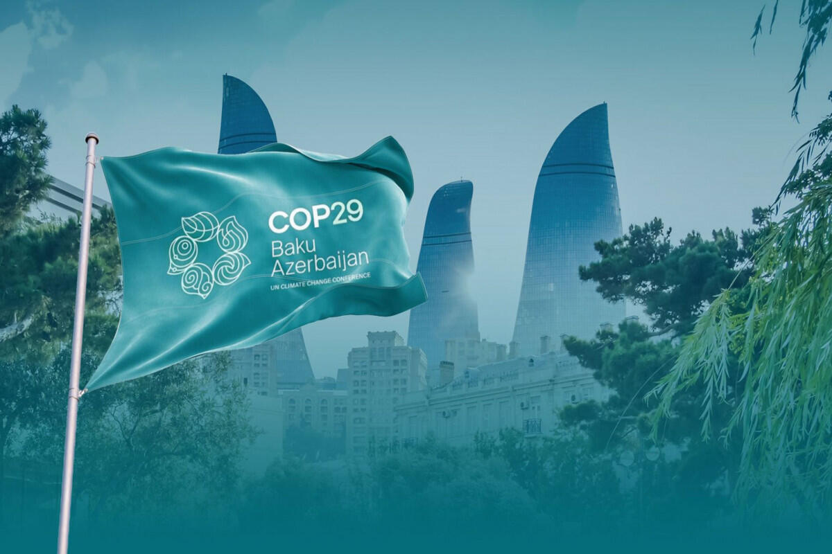 COP29-un əsas hədəfi: ölkəmiz niyə iqlim maliyyəsinə fokuslanır?