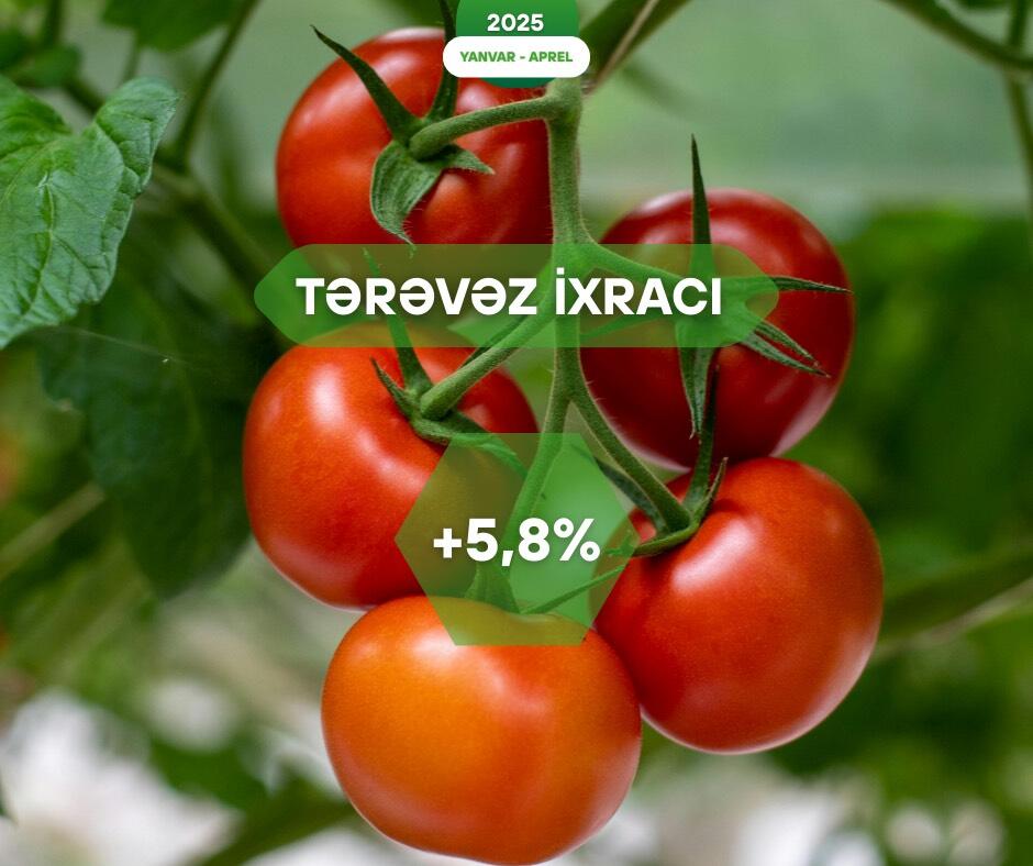 Xarici bazarlara tərəvəz ixracında artım dinamikası davam edir