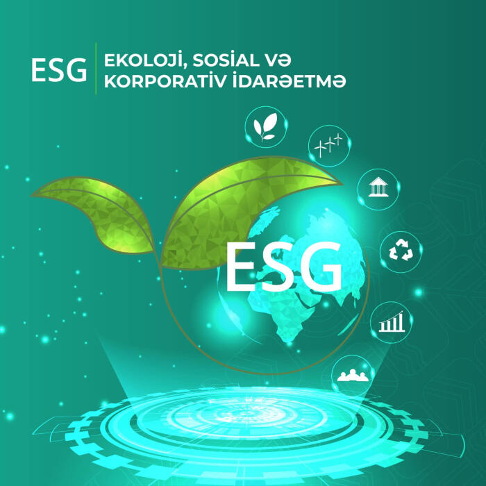 ESG prinsipləri və vergi siyasəti: karbon vergisinin iqtisadi və ekoloji əhəmiyyəti