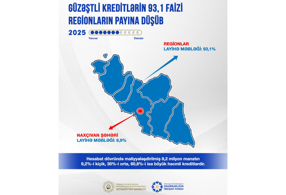 Naxçıvanda güzəştli kreditlərin 93,1 faizi regionların payına düşüb