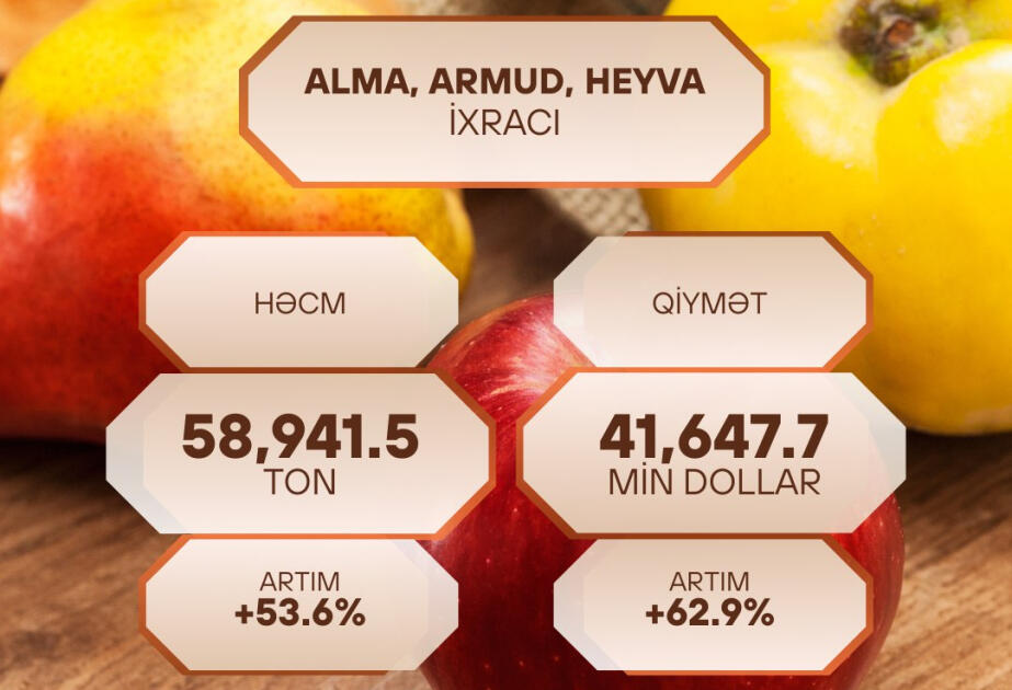 Xarici bazarlara alma, armud və heyva ixracı artıb