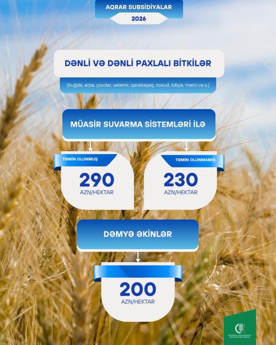 Müasir suvarma sistemləri ilə təmin olunan taxıl sahələrinin hər hektarına 290 manat subsidiya ödəniləcək