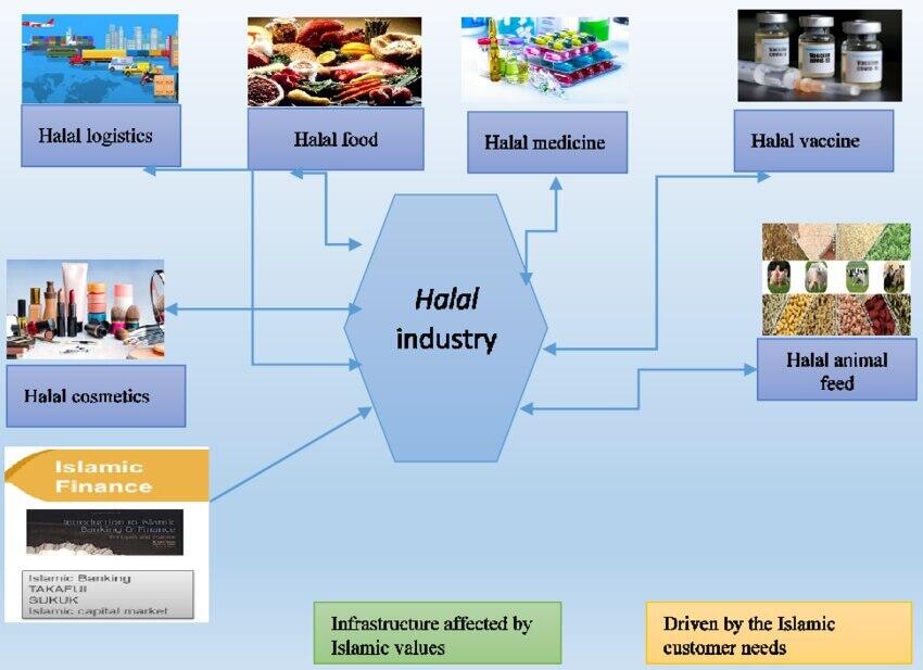 Halal biznesə yaşıl işıq: xəstəlikdən azad zonalar, ortaqlıq, sukuk…