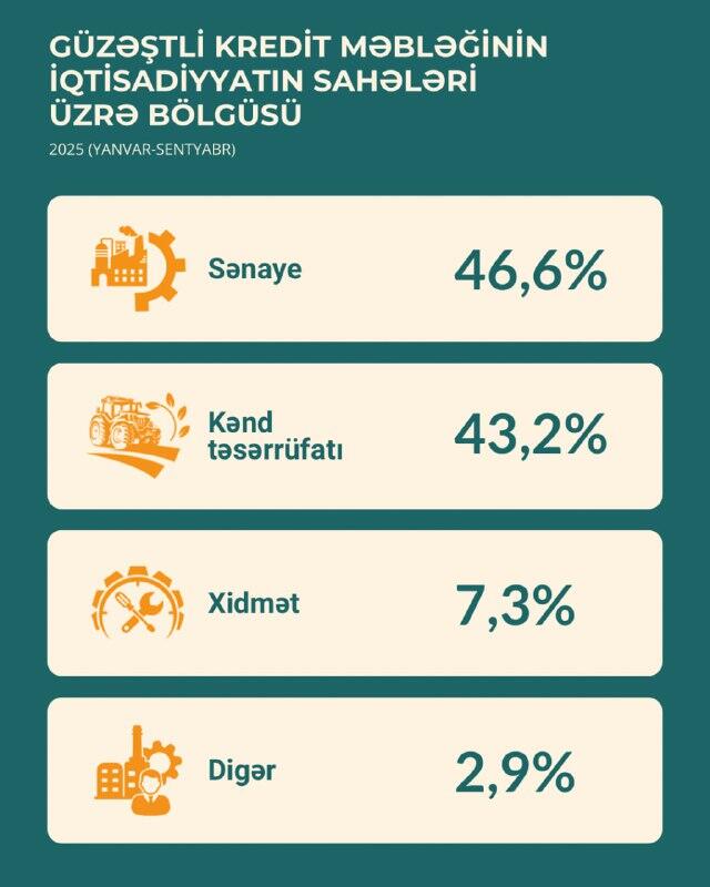 Güzəştli kredit məbləğinin təxminən 47 faizi sənaye məhsullarının istehsalına yönəldilib