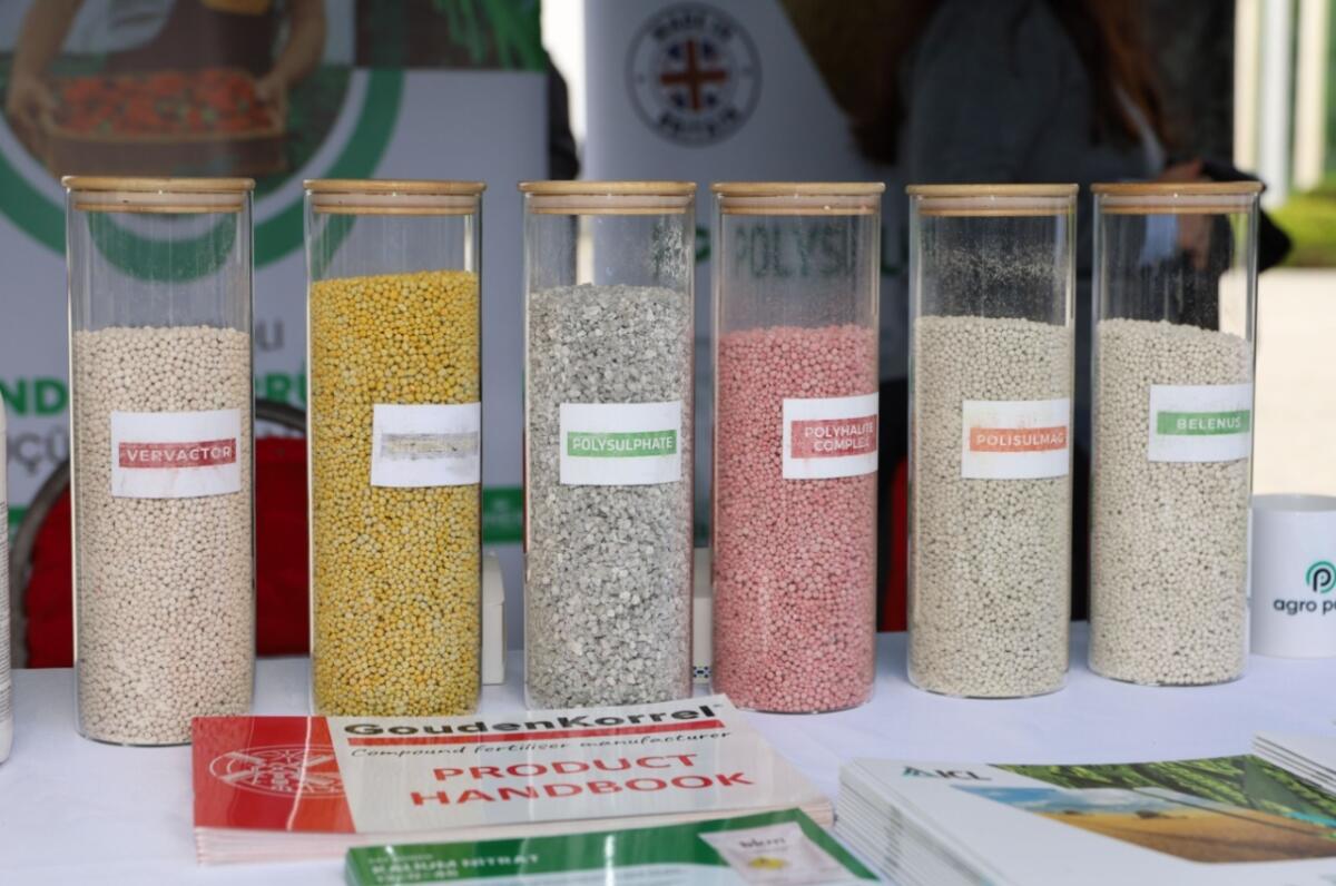 Saatlıda Aqrar Biznes festivalları keçirilib