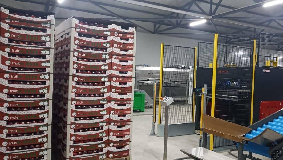 “Gələn Alıcı” proqramı: yerli aqrar məhsulların ixrac coğrafiyası genişlənir