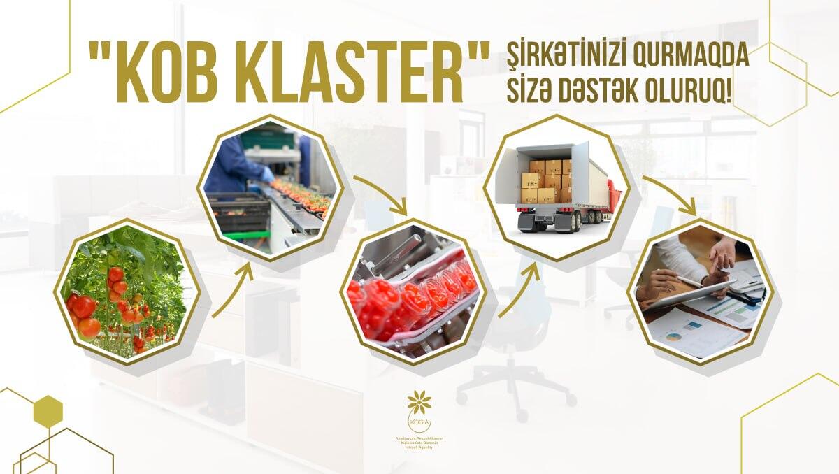 Klasterləşmə – sahibkarlar üçün imkanlar və perspektivlər