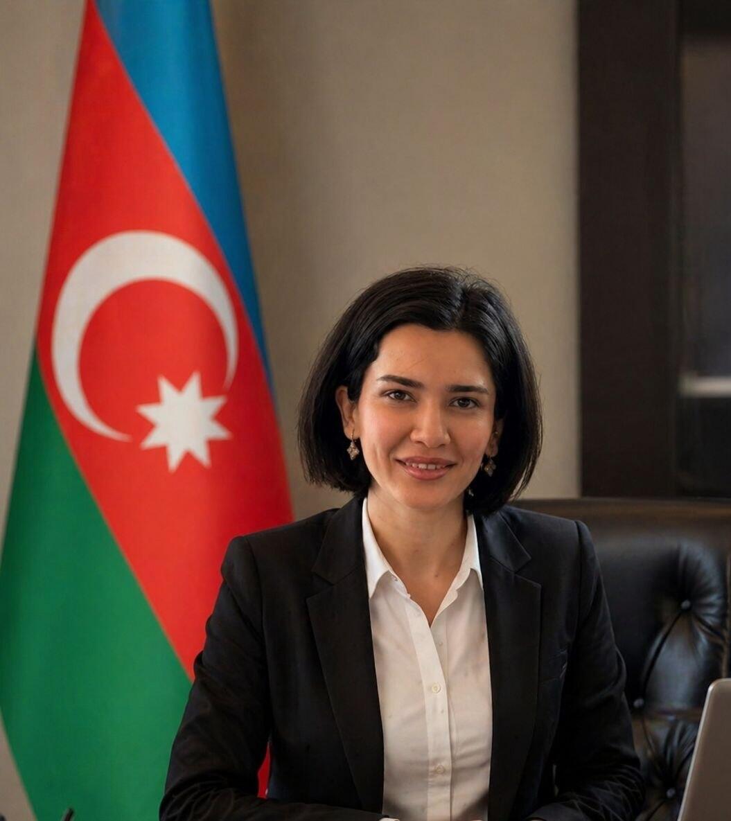 Mühasibatlıq prizmasından maliyyə hədəfləri