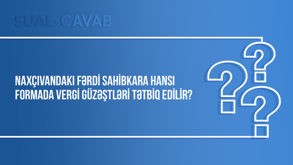 Naxçıvandakı fərdi sahibkara hansı formada vergi güzəştləri tətbiq edilir?