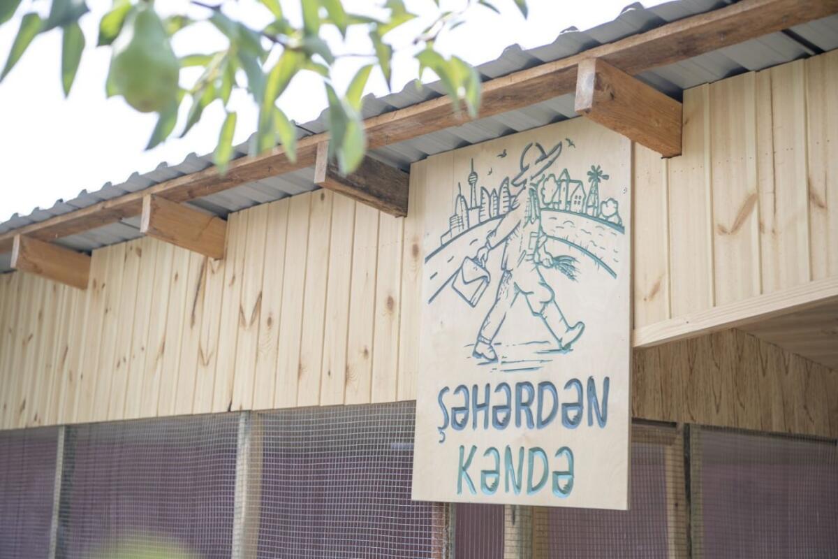 “Şəhərdən Kəndə”: Azərbaycanda aqroturizmin inkişafında yeni addım