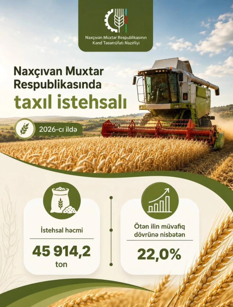 Naxçıvan Muxtar Respublikasında taxıl biçini başa çatıb
