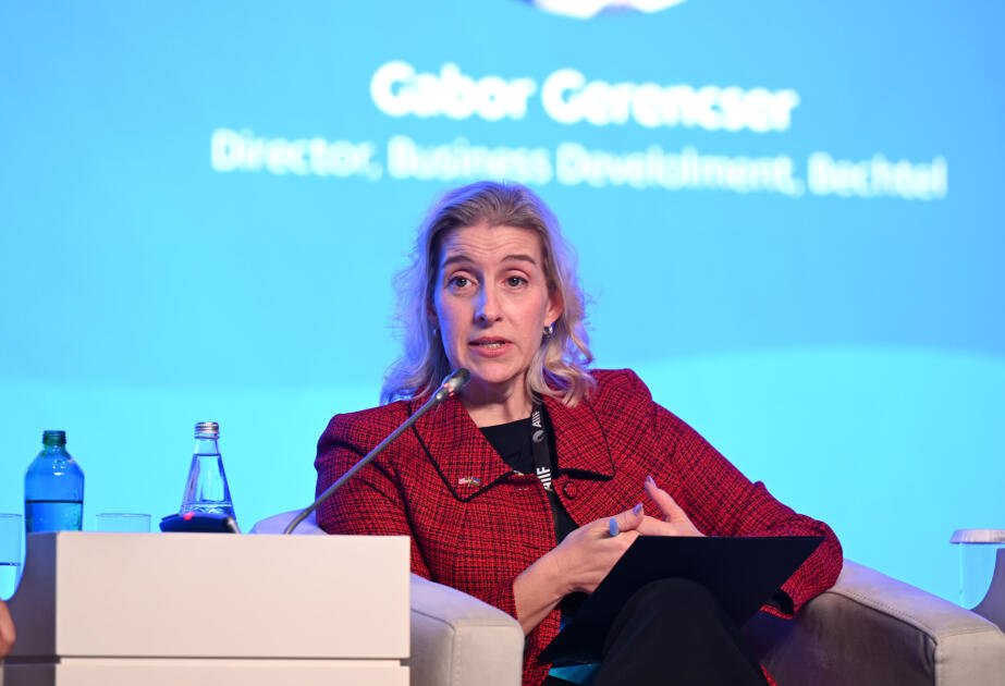Amy Carlon: "Orta Dəhliz regionun iqtisadi potensialının reallaşdırılması üçün mühüm imkanlar yaradır"