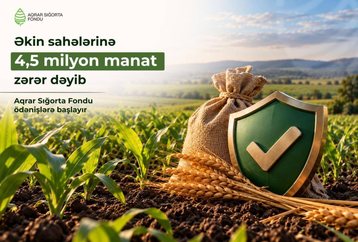 Aqrar Sığorta Fondu əkin sahələrinə dəyən zərərlər üzrə ödənişlərə başlayır