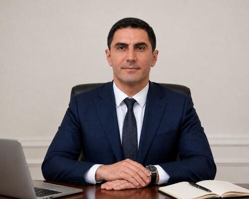 Müəssisənin maliyyə sabitliyinin təhlili və qiymətləndirilməsi