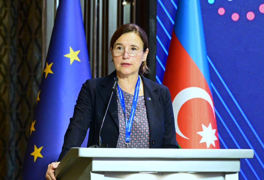 Avropa şirkətlərinin Azərbaycanda bərpaolunan enerji sahəsinə investisiya yatırması üzərində iş aparılır