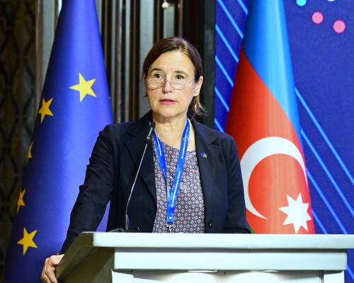 Avropa şirkətlərinin Azərbaycanda bərpaolunan enerji sahəsinə investisiya yatırması üzərində iş aparılır