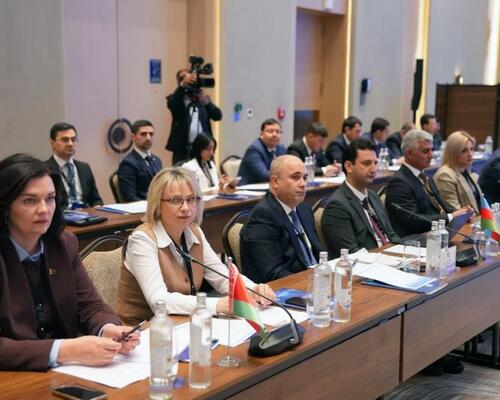 DVX nümayəndə heyəti MDB vergi xidmətləri rəhbərlərinin Koordinasiya Şurasının iclasında iştirak edib