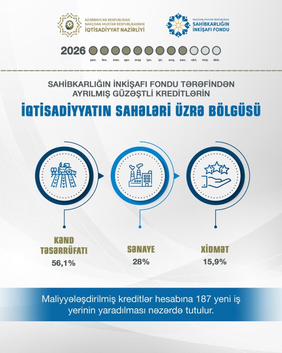 9 ayda Naxçıvanda sahibkarlara 6 milyon manat güzəştli maliyyə dəstəyi göstərilib