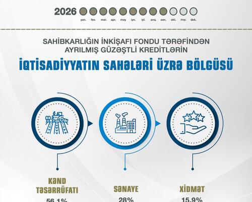 9 ayda Naxçıvanda sahibkarlara 6 milyon manat güzəştli maliyyə dəstəyi göstərilib